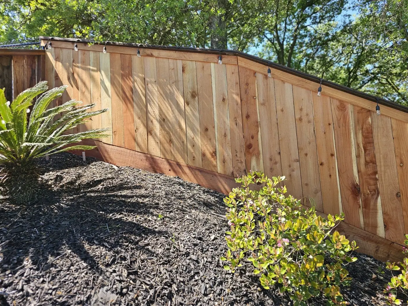 New cedar privacy fence on a planted slope