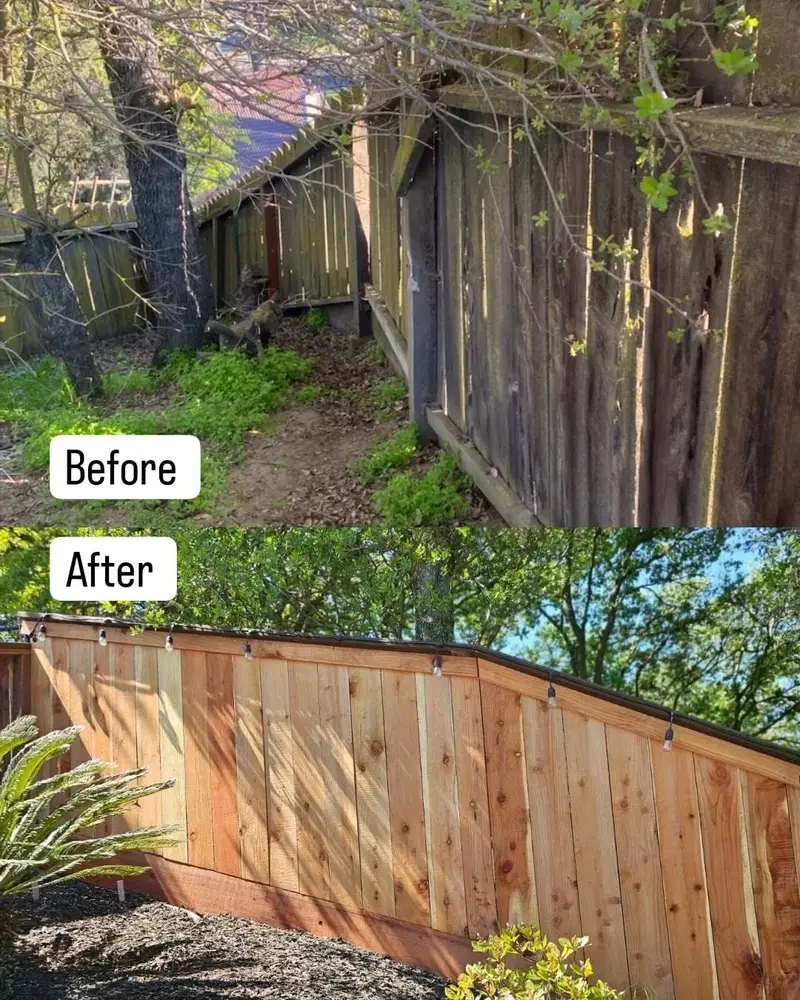 Green Lion fence project photo 22 of 34