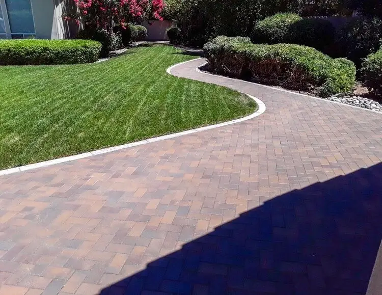 Green Lion paver and porcelain hardscape project photo 35 of 38