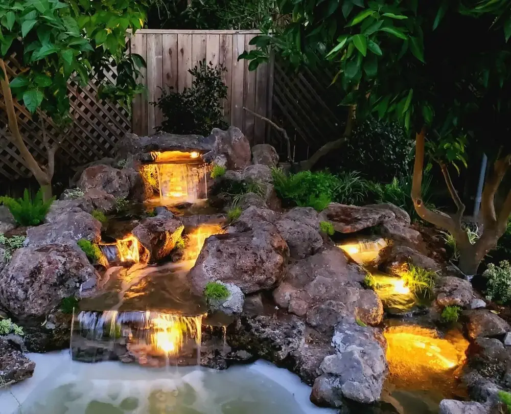 Green Lion Water Feature Maintenance & Repair project photo