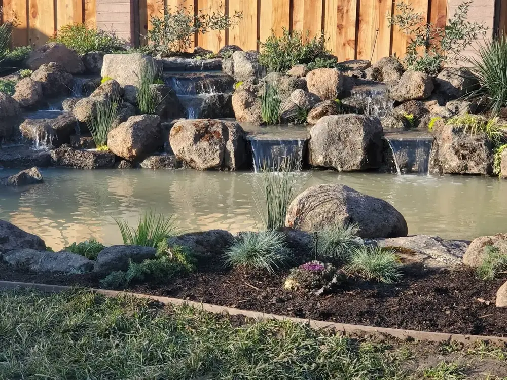 Green Lion Water Feature Maintenance & Repair project photo