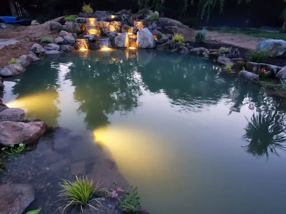 Green Lion Water Feature Maintenance & Repair project photo