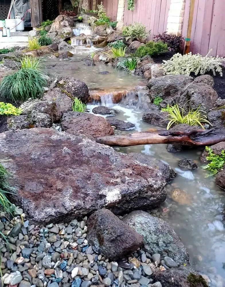 Green Lion water feature project photo 11 of 31