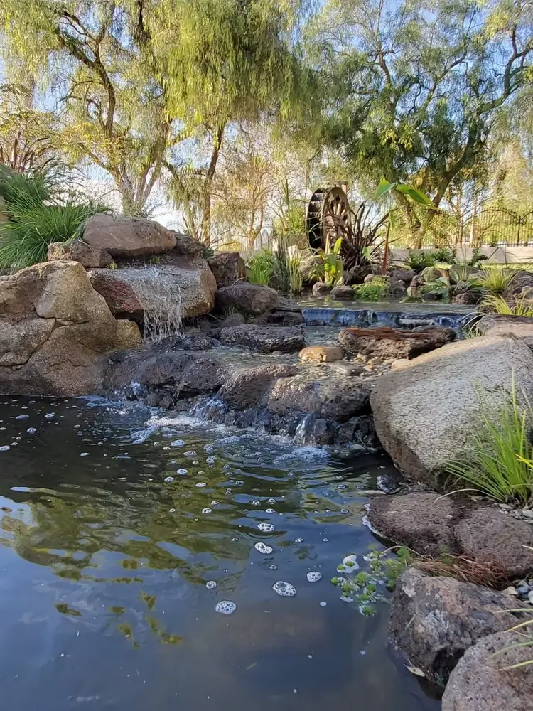 Green Lion water feature project photo 13 of 31