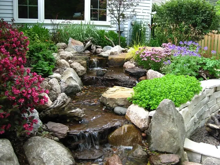 Pond edge lush with flowering marginal plants and stone