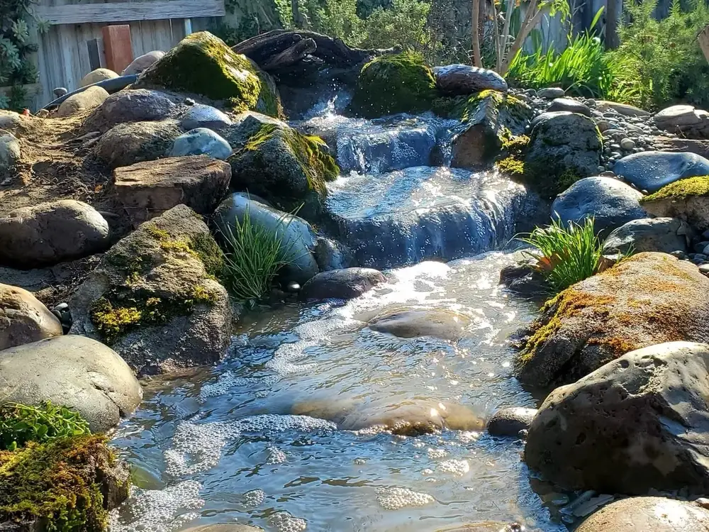 Rocky stream winding through boulders and planting