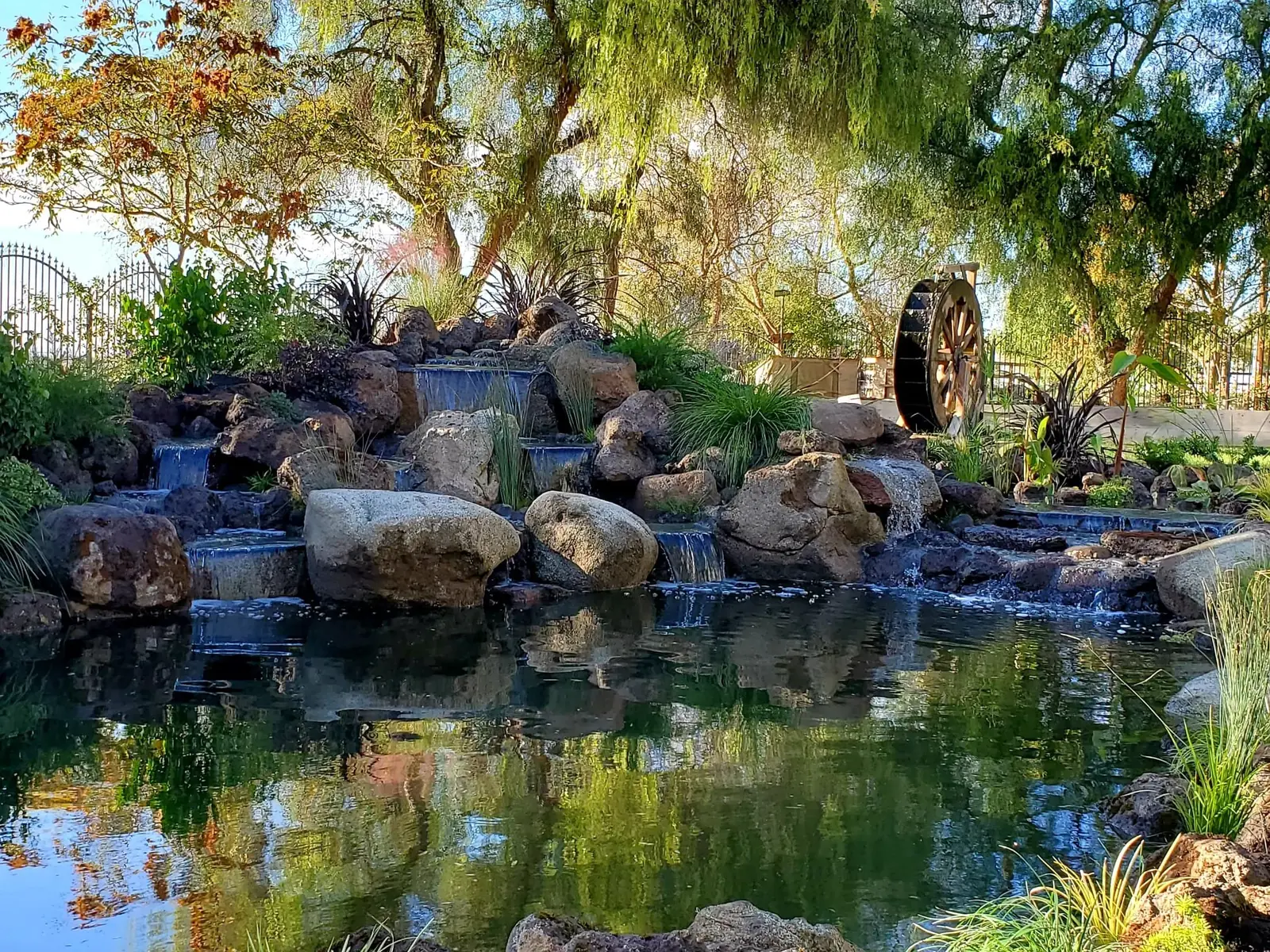 Backyard pond edged in natural stone with lush planting